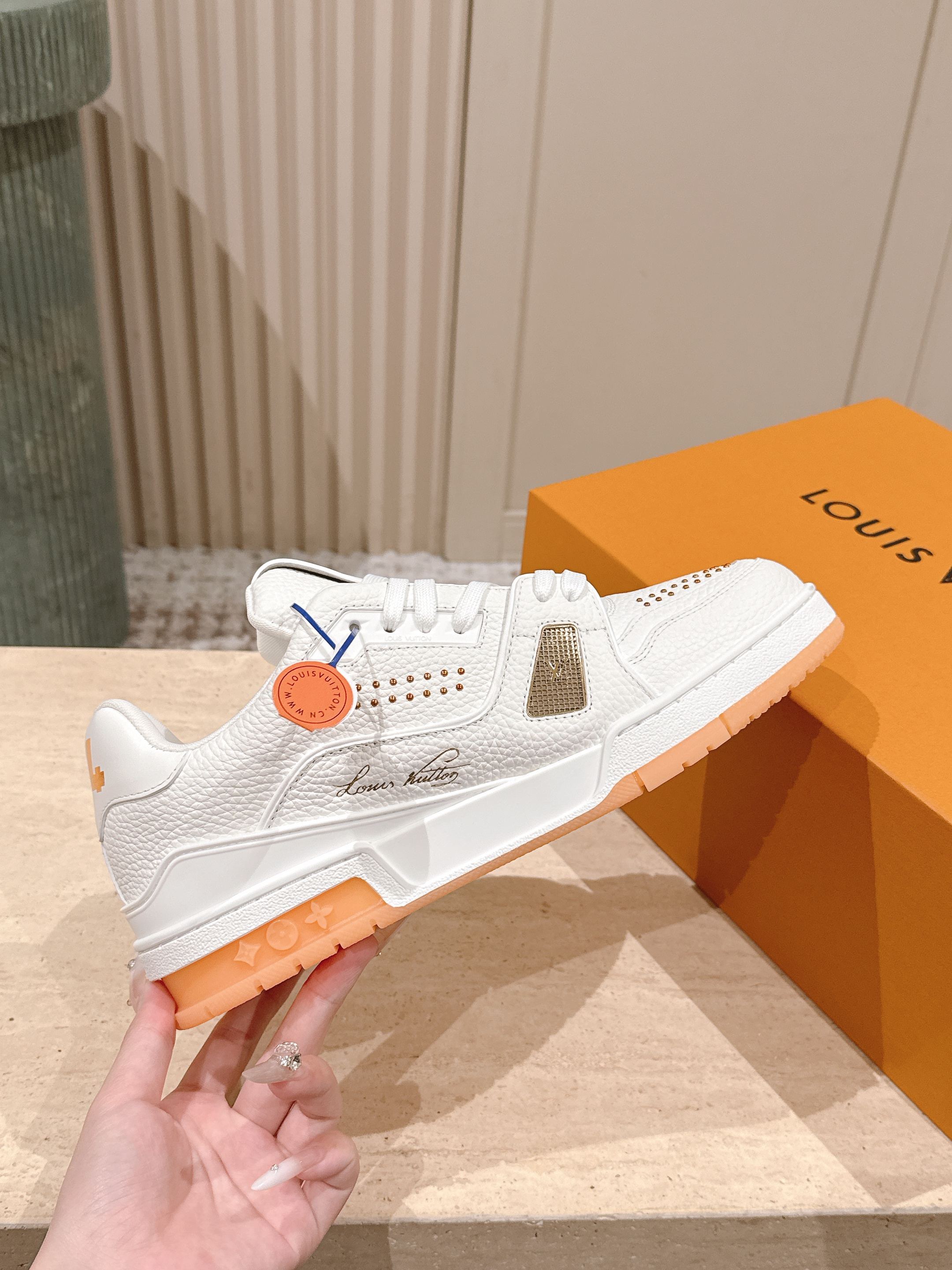 Louis Vuitton 루이비통 트레이너 로우 스니커즈 5