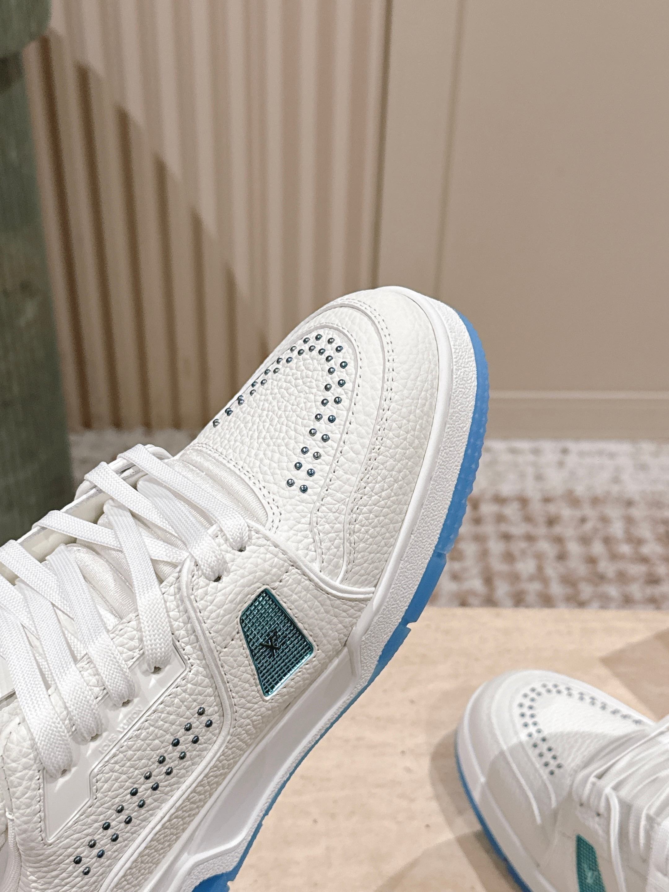 Louis Vuitton 루이비통 트레이너 로우 스니커즈 6