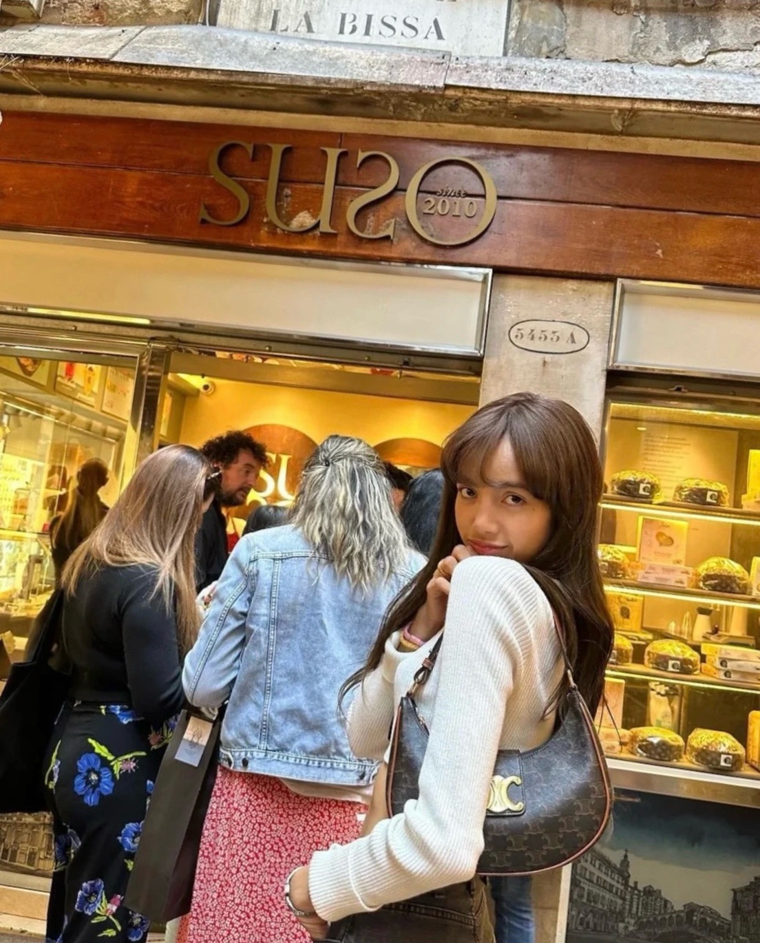 Celine 셀린느 AVA 아바 트리오페 캔버스 숄더백 브라운 골드 하드웨어 5