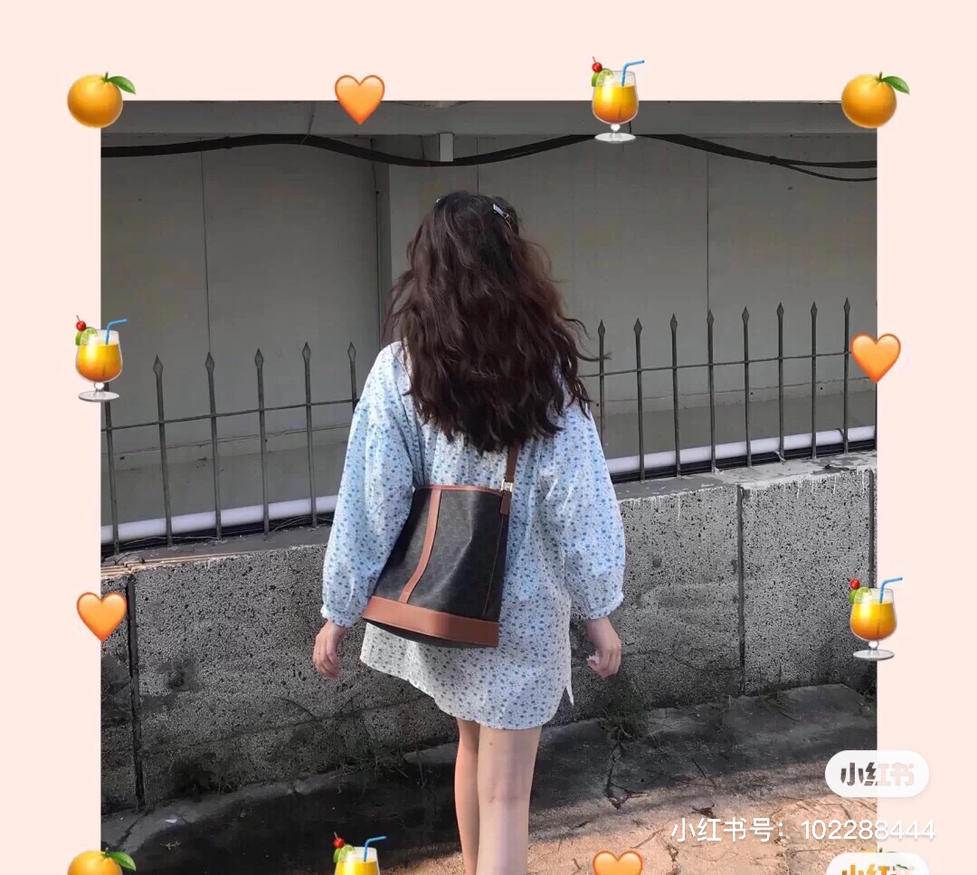 Celine 셀린느 트리오페 캔버스 미니 버킷백 코팅 캔버스 카프스킨 브라운 23