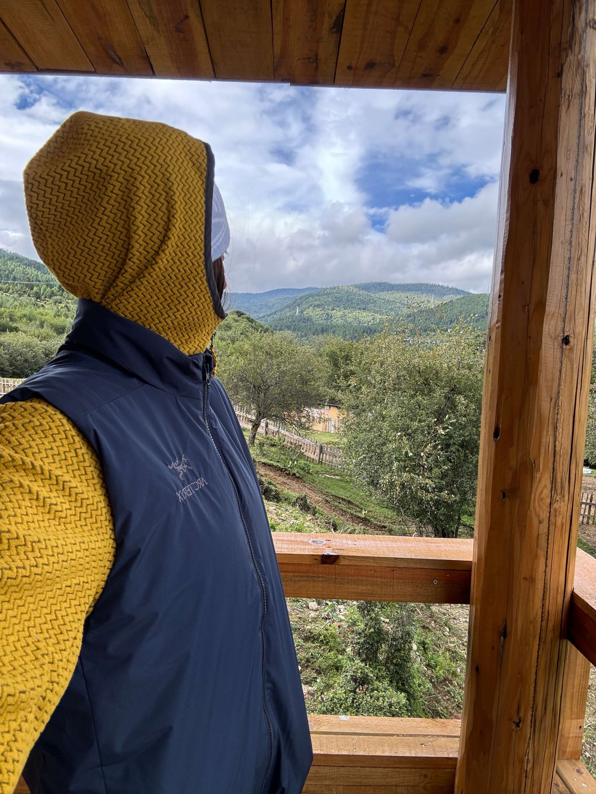 ARCTERYX 아크테릭스 패딩 베스트 4