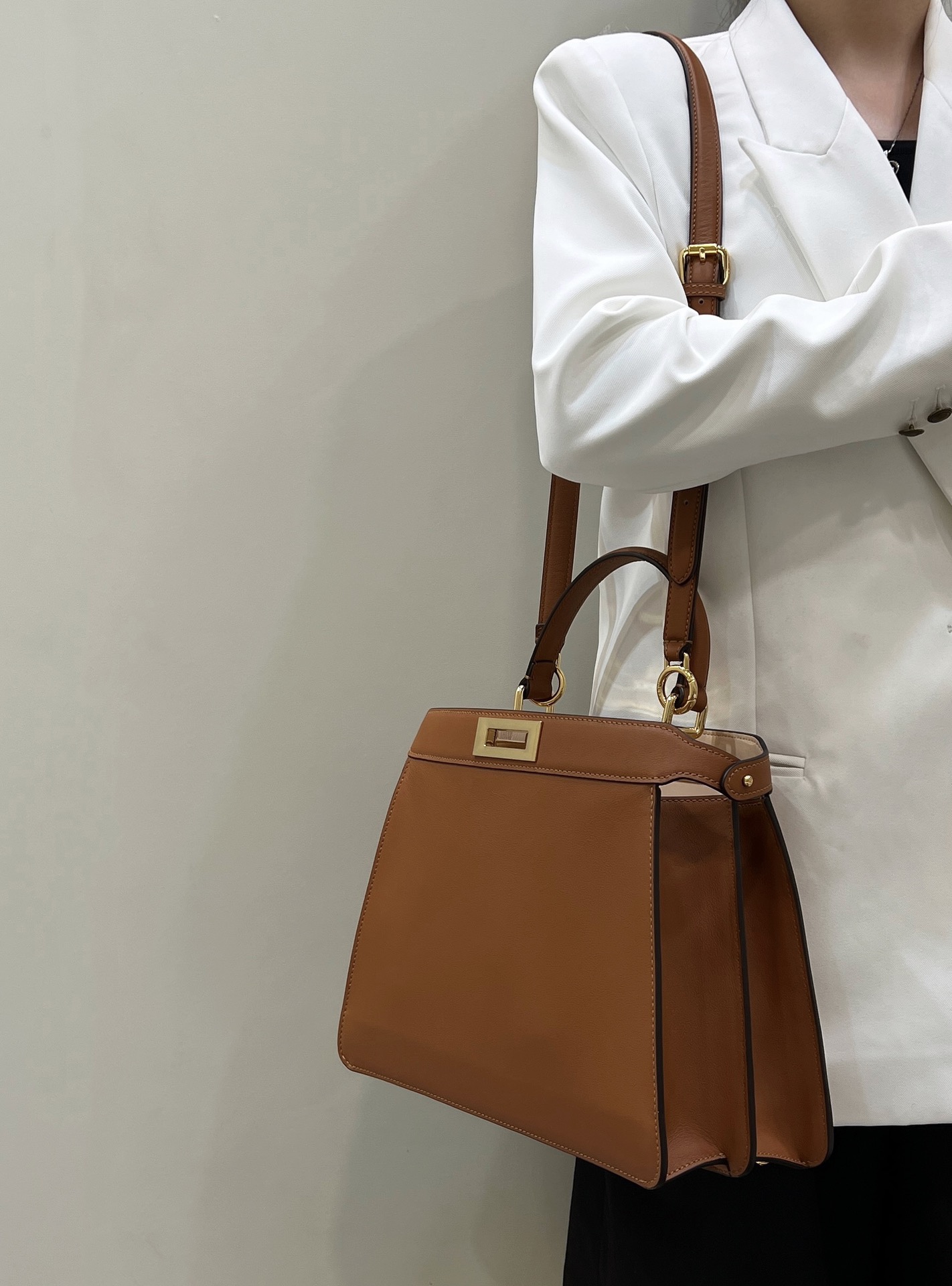 Goyard 고야드 세나 MGM 클러치백 9