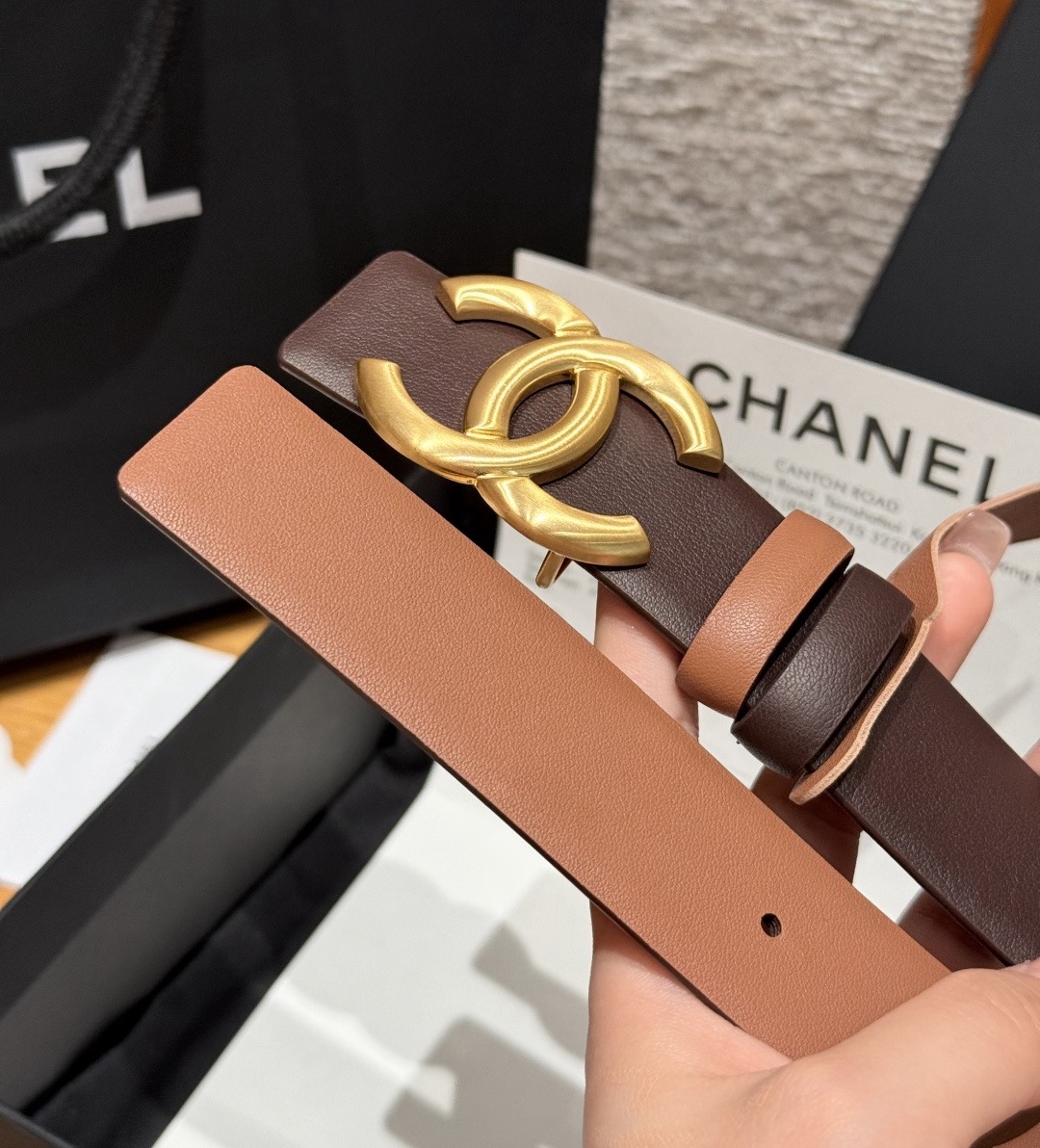 Goyard 고야드 Coursier 메신저백 9