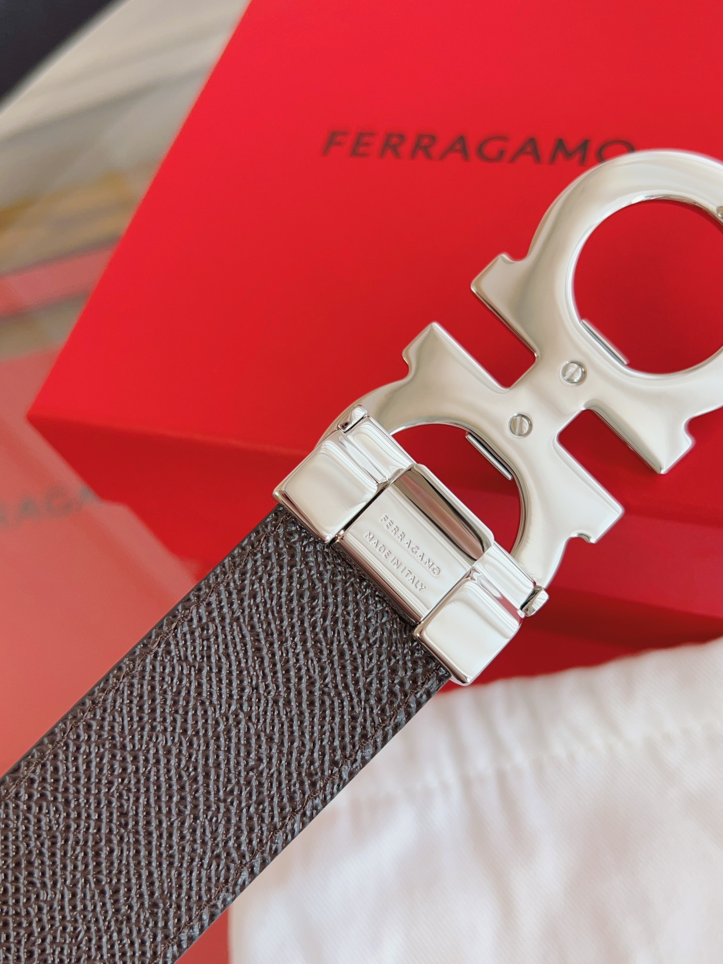 Goyard 고야드 Hirondelle 백 10