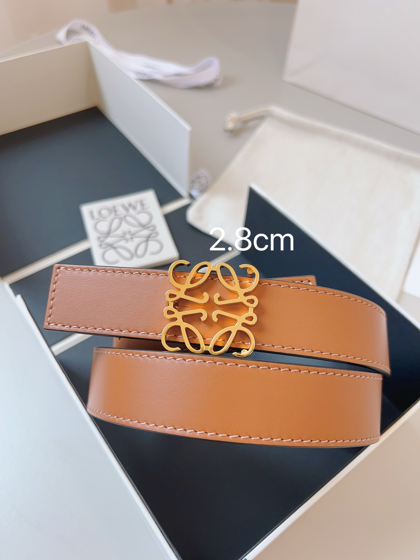 Goyard 고야드 Saint Léger 백팩 10