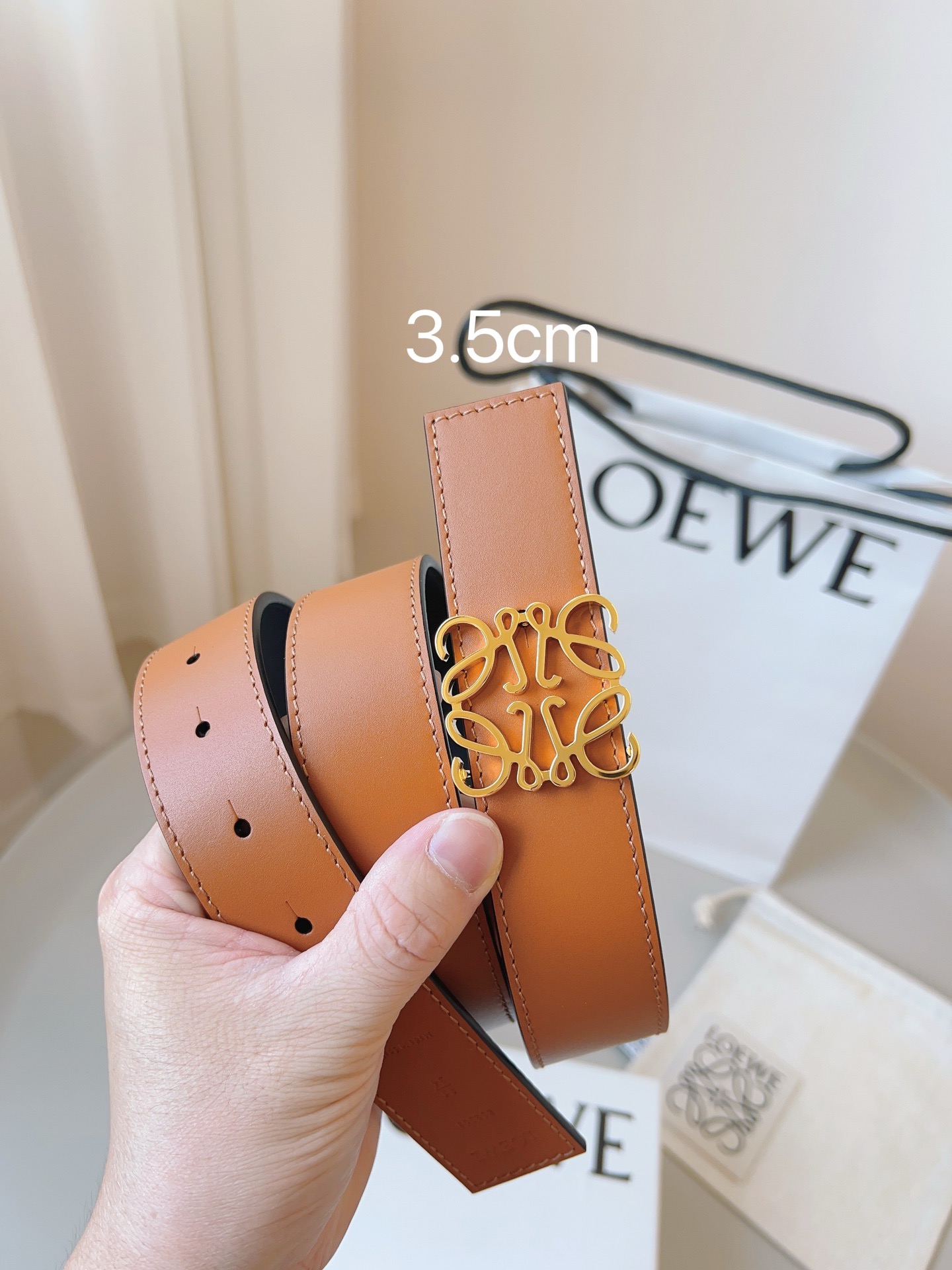 Goyard 고야드 Saint Léger 백팩 13