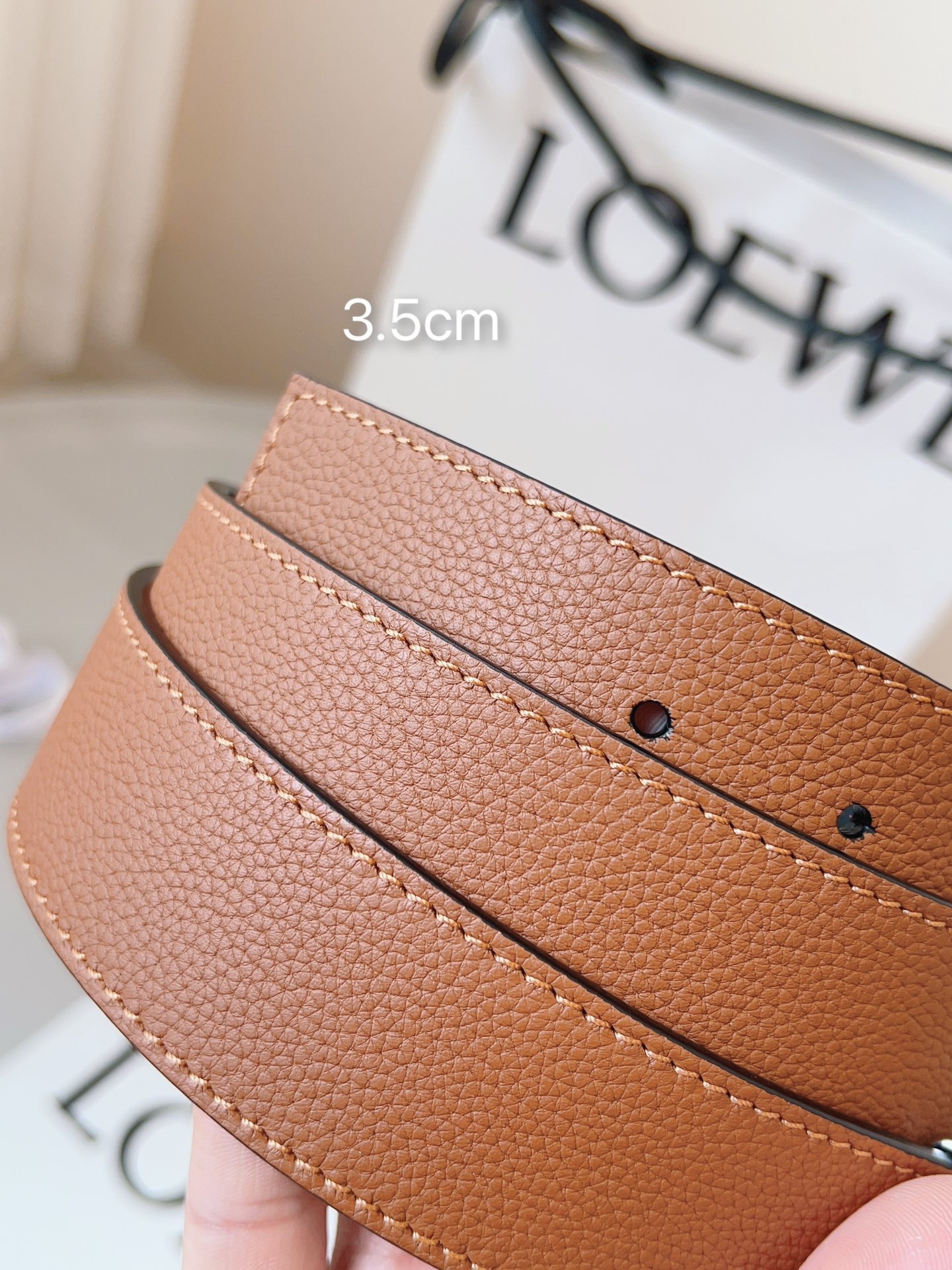 Goyard 고야드 Saint Léger 백팩 14