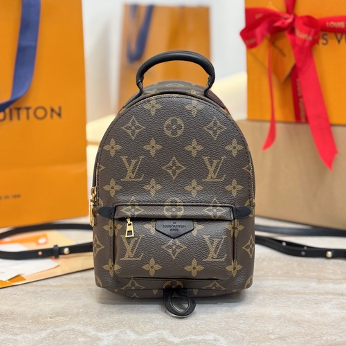Louis Vuitton Palm Springs Mini Backpack 루이비통 팜스프링스 미니 백팩 M44873 17cm
