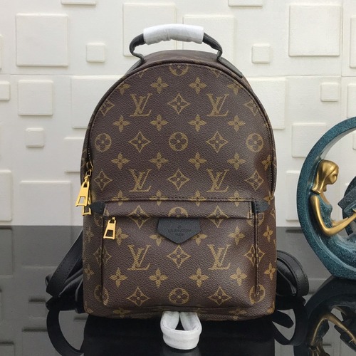 Louis Vuitton Palm Springs Backpack PM 루이비통 팜스프링스 백팩 PM M41560 모노그램 코티드 캔버스 20cm