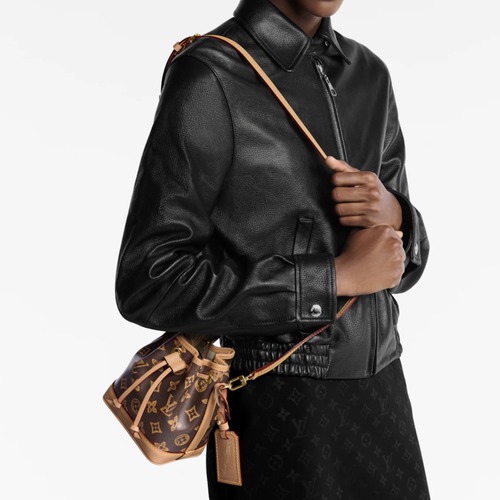 Louis Vuitton Nano Noé 모노그램 버킷백 나노 노에 M27699 13cm