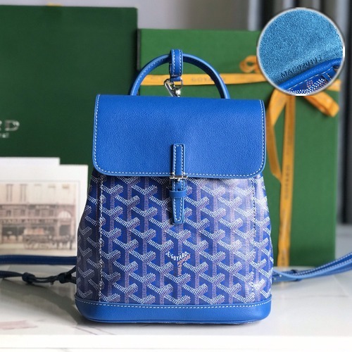 Goyard Alpin Mini Backpack Red 고야드 투웨이 알팽 미니 백팩 020195 블루 19cm