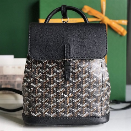 Goyard Alpin Mini Backpack Red 고야드 투웨이 알팽 미니 백팩 020195 블랙/그레이 19cm