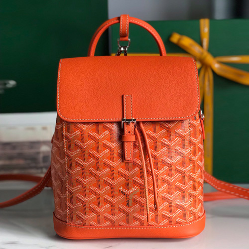 Goyard Alpin Mini Backpack Red 고야드 투웨이 알팽 미니 백팩 020195 오렌지 19cm