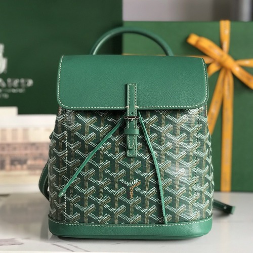 Goyard Alpin Mini Backpack Red 고야드 투웨이 알팽 미니 백팩 020195 그린 19cm