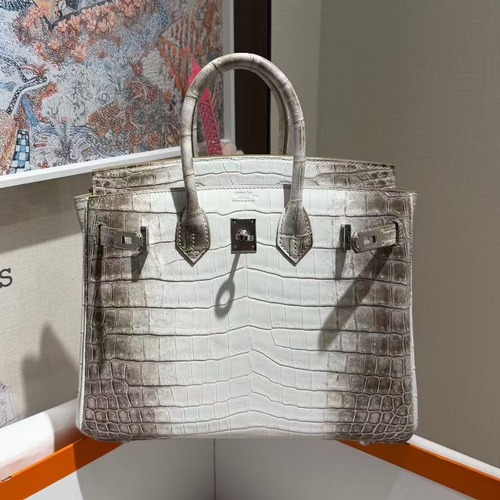 Hermès Birkin Himalaya Niloticus Crocodile Bag 에르메스 버킨 히말라야 나일로틱 크로커다일 토트백 금장25cm