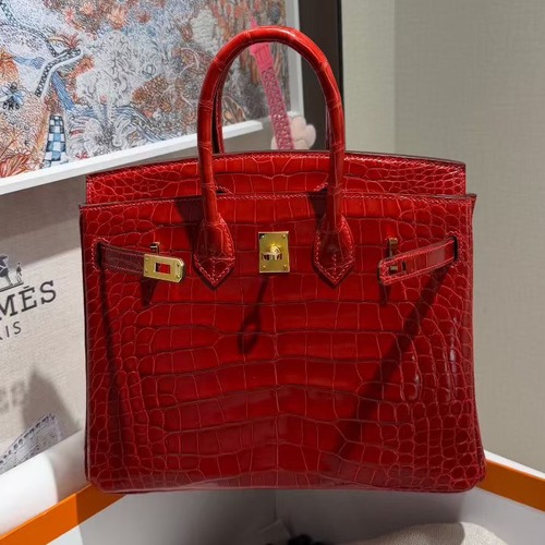 Hermès Birkin 25 Rouge Crocodile Bag 에르메스 버킨 25 루즈 크로커다일 토트백 25cm
