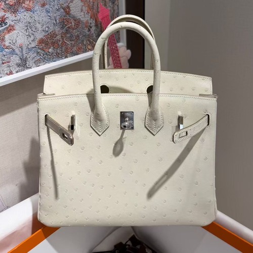 Hermès Birkin 25 Blanc Ostrich Bag 에르메스 버킨 25 블랑 오스트리치 토트백 25cm