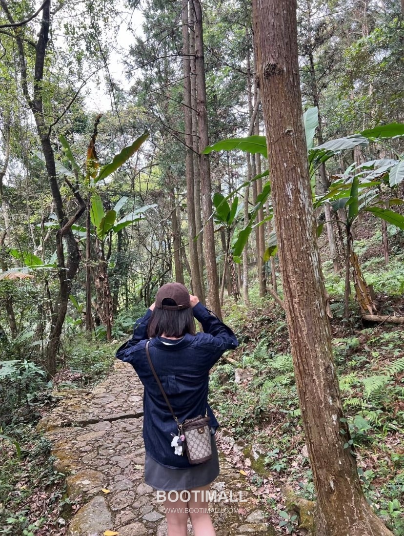 Gucci GG Canvas Bucket Mini GG Canvas and Calfskin Beige Crossbody Bag 구찌 GG 캔버스 버킷 미니 GG 캔버스와 카프스킨 베이지 크로스백 20cm 6