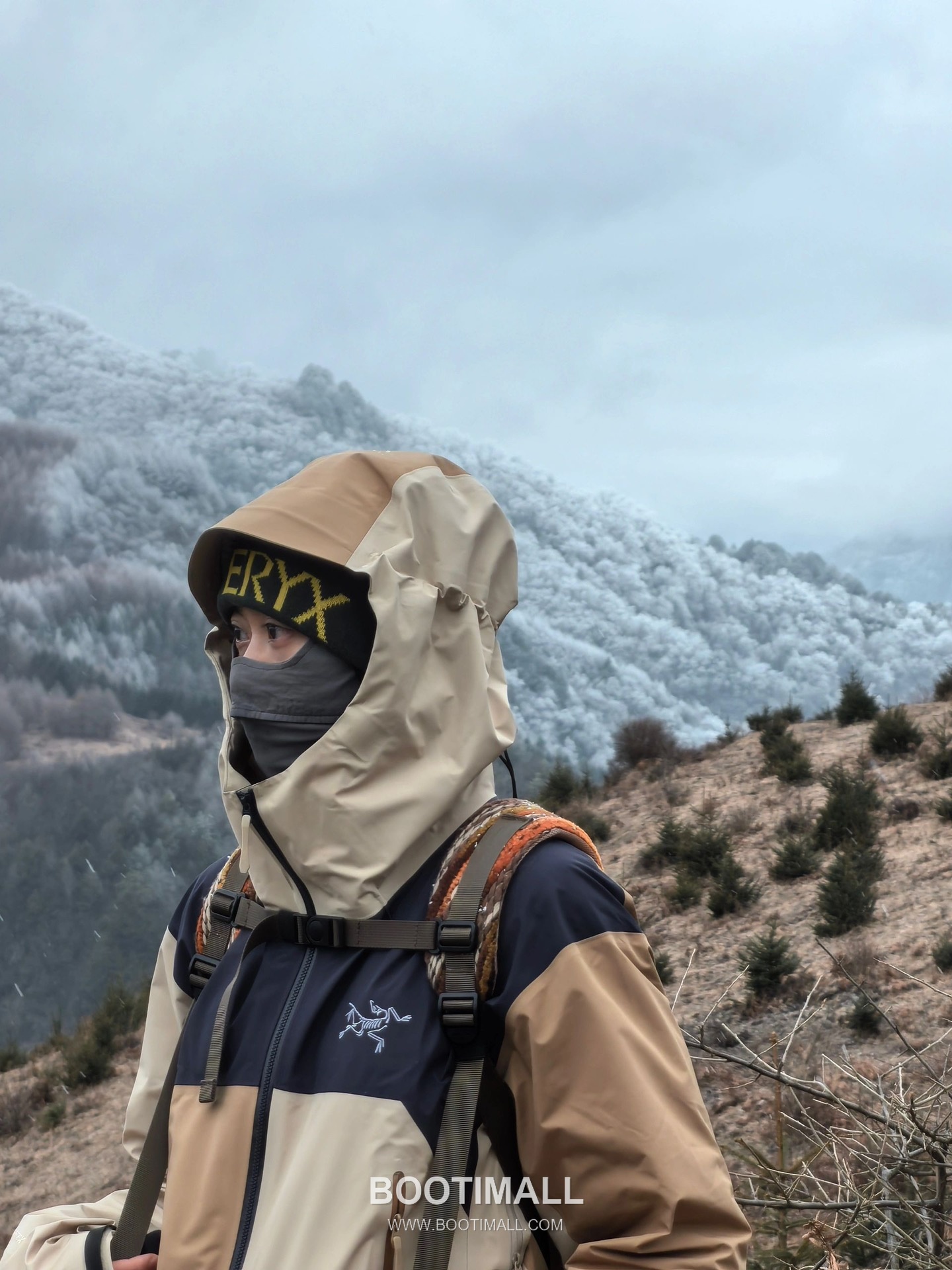 Arc'teryx Beta LT Shell GORE-TEX PRO Vine Brown Jacket 아크테릭스 베타 LT 쉘 고어텍스 프로 바인 브라운 자켓 3