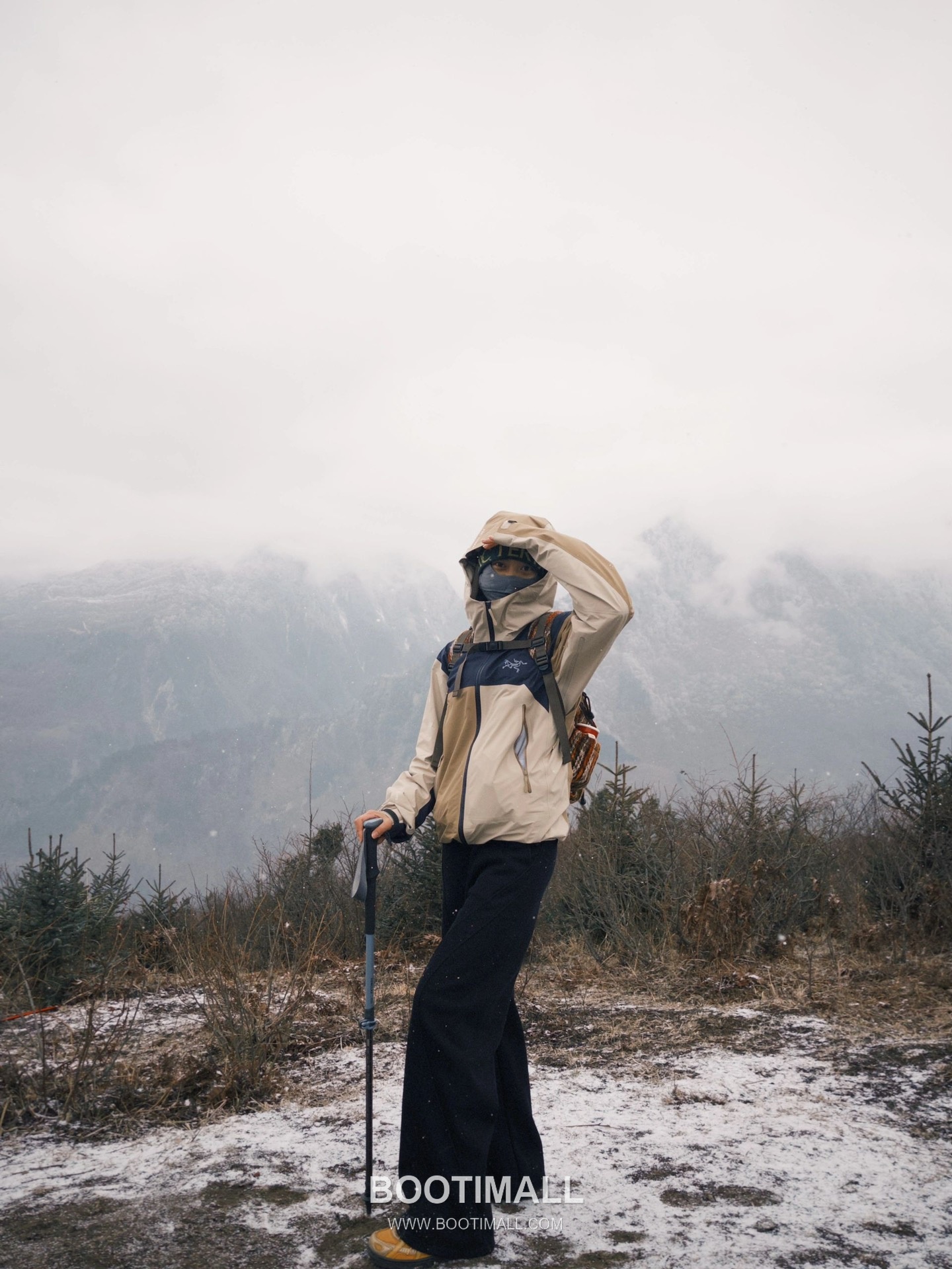 Arc'teryx Beta LT Shell GORE-TEX PRO Vine Brown Jacket 아크테릭스 베타 LT 쉘 고어텍스 프로 바인 브라운 자켓 4