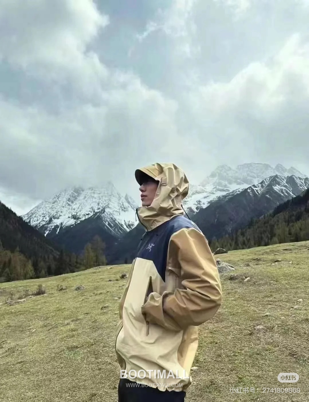 Arc'teryx Beta LT Shell GORE-TEX PRO Vine Brown Jacket 아크테릭스 베타 LT 쉘 고어텍스 프로 바인 브라운 자켓 9