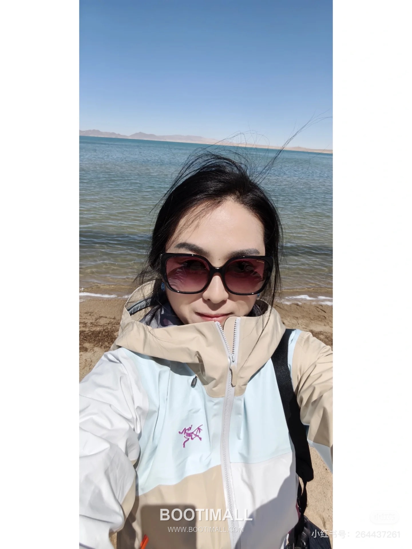 Arc'teryx Beta LT Shell GORE-TEX PRO Vine Brown Jacket 아크테릭스 베타 LT 쉘 고어텍스 프로 바인 브라운 자켓 5