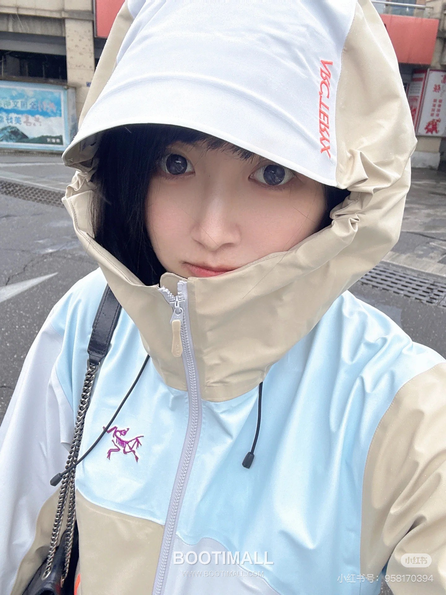 Arc'teryx Beta LT Shell GORE-TEX PRO Vine Brown Jacket 아크테릭스 베타 LT 쉘 고어텍스 프로 바인 브라운 자켓 8