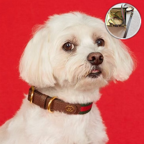 Gucci GG Supreme Dog Collar & Leash Set  구찌 GG 수프림 펫 목줄 & 리드줄 세트