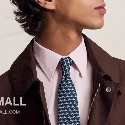 Hermes Printed Tie Silk Twill Multicolor 에르메스 프린트 넥타이 실크 트윌 멀티컬러