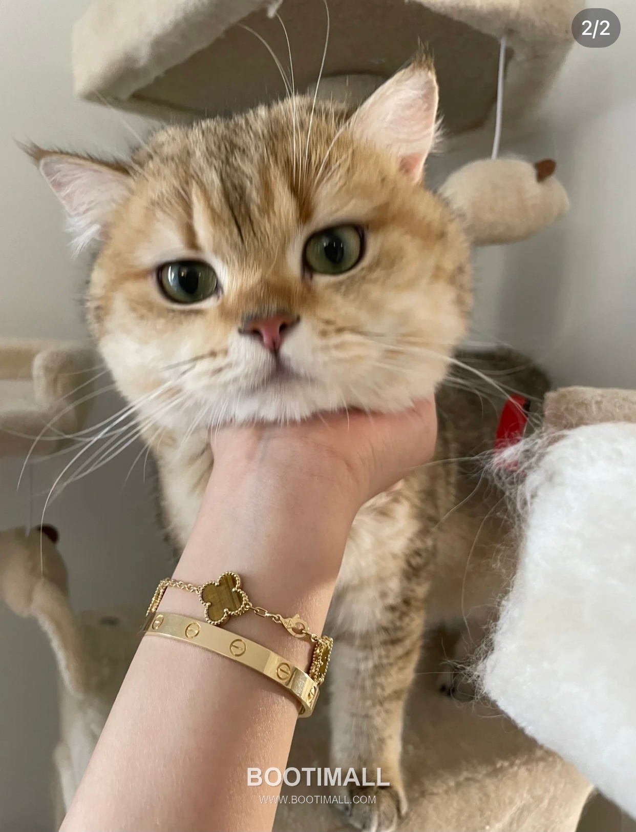 Van Cleef & Arpels Alhambra Five Clover Malachite Onyx Carnelian Mother of Pearl Sterling Silver 925 Bracelet with Beaded Chain 반클리프아펠 알함브라 파이브 클로버 말라카이트 오닉스 카넬리안 자개 스털링 실버 925 브레이슬릿 비드 체인 1