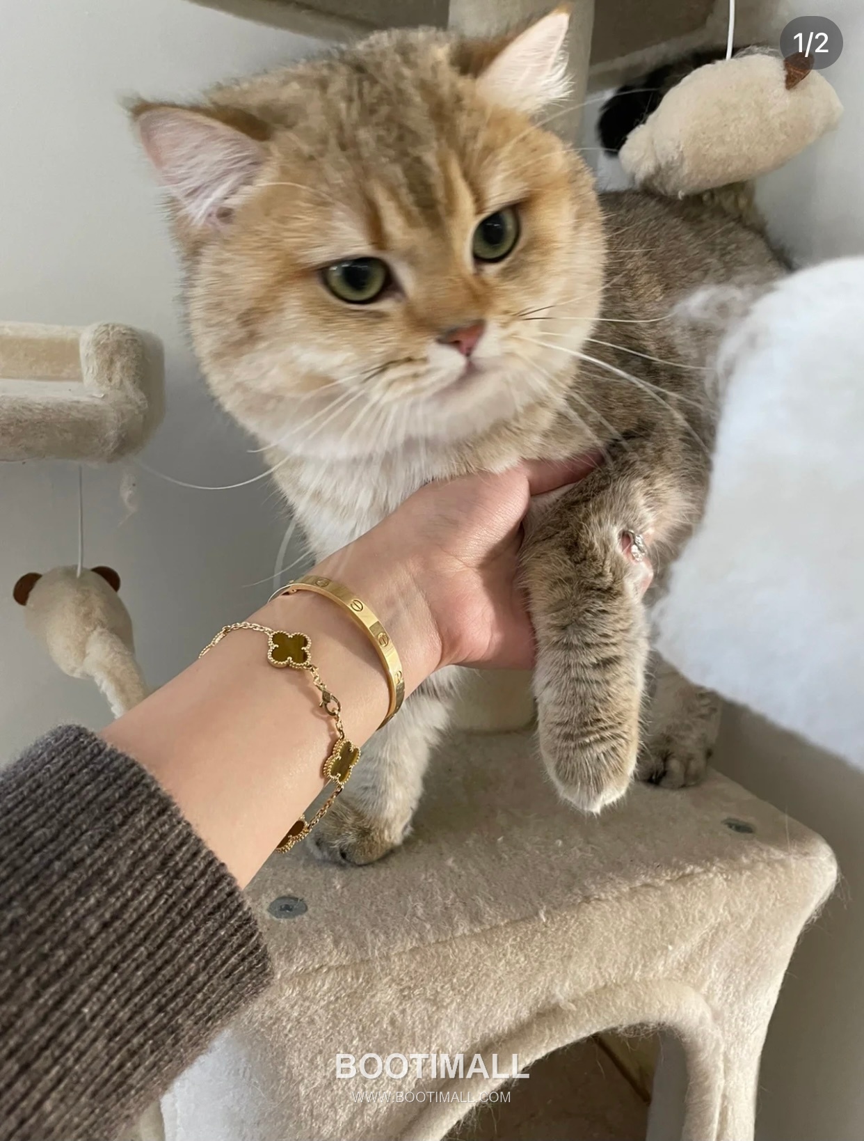 Van Cleef & Arpels Alhambra Five Clover Malachite Onyx Carnelian Mother of Pearl Sterling Silver 925 Bracelet with Beaded Chain 반클리프아펠 알함브라 파이브 클로버 말라카이트 오닉스 카넬리안 자개 스털링 실버 925 브레이슬릿 비드 체인 4