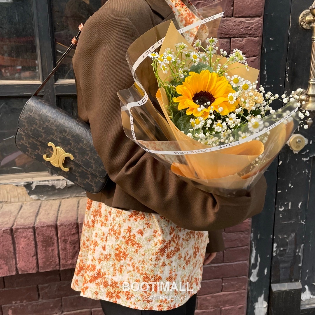 Celine Triomphe Monogram Canvas Cowhide Shoulder Bag with Metal Detail 셀린느 트리옹프 모노그램 캔버스 카우하이드 숄더백 메탈디테일 194143 20cm 2