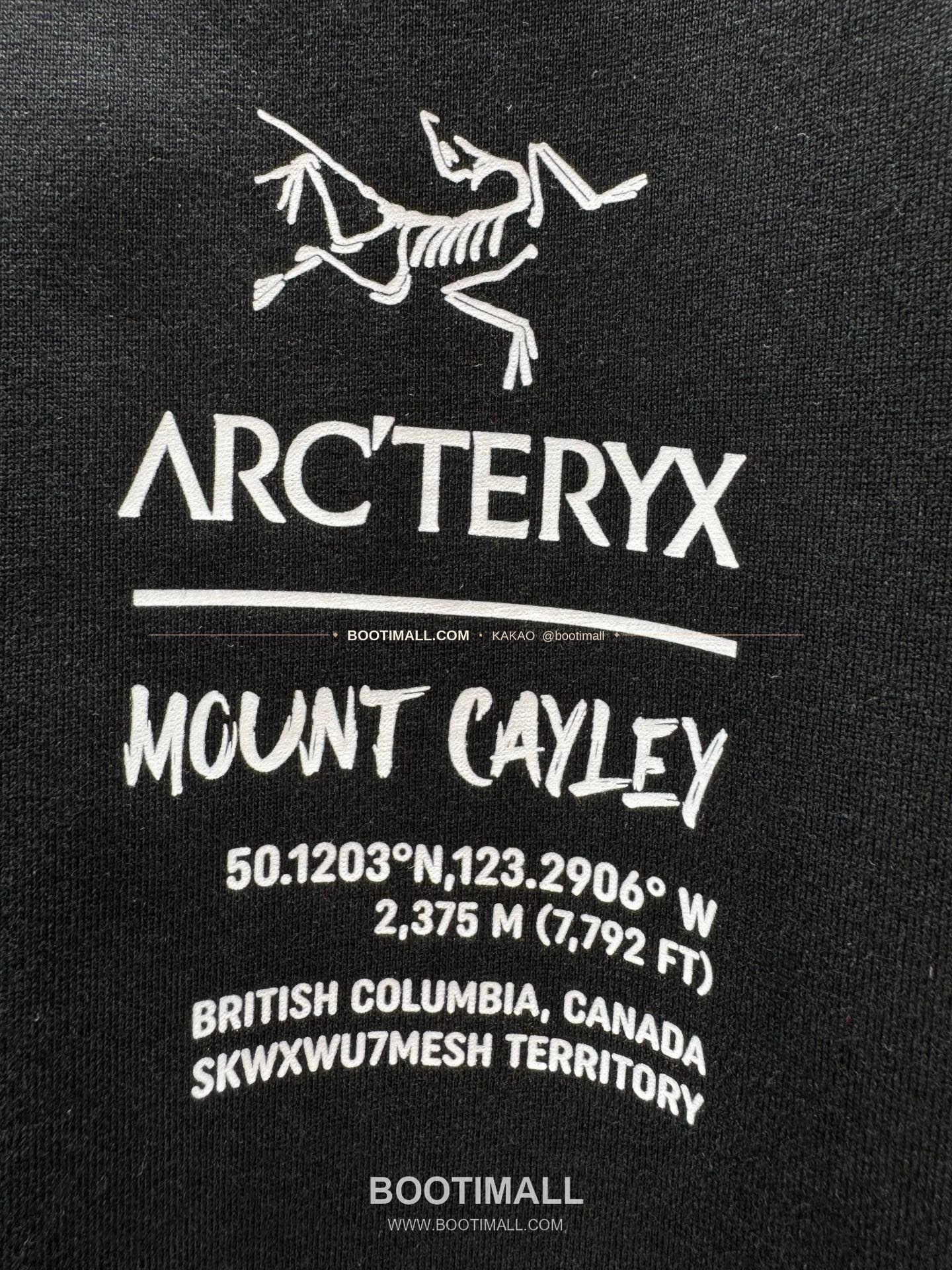 아크테릭스 헤비코튼 그래픽 로고 루즈핏 반팔 티셔츠 Arc'teryx Heavy Cotton Graphic Logo Loose Fit T-Shirt SG26310 10