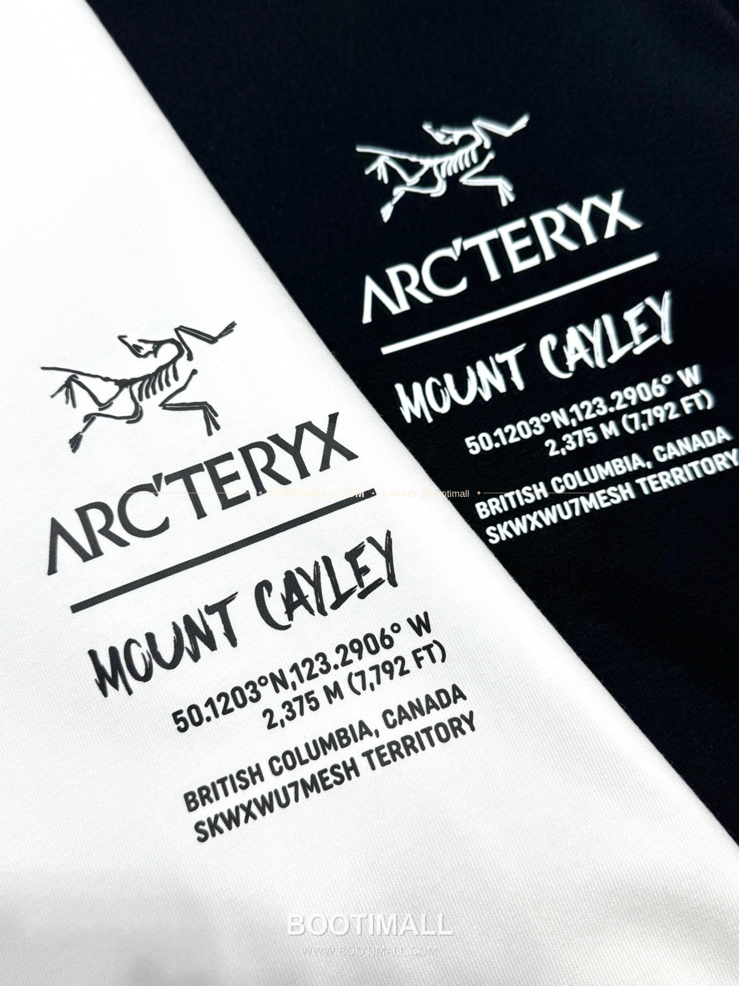 아크테릭스 헤비코튼 그래픽 로고 루즈핏 반팔 티셔츠 Arc'teryx Heavy Cotton Graphic Logo Loose Fit T-Shirt SG26310 3