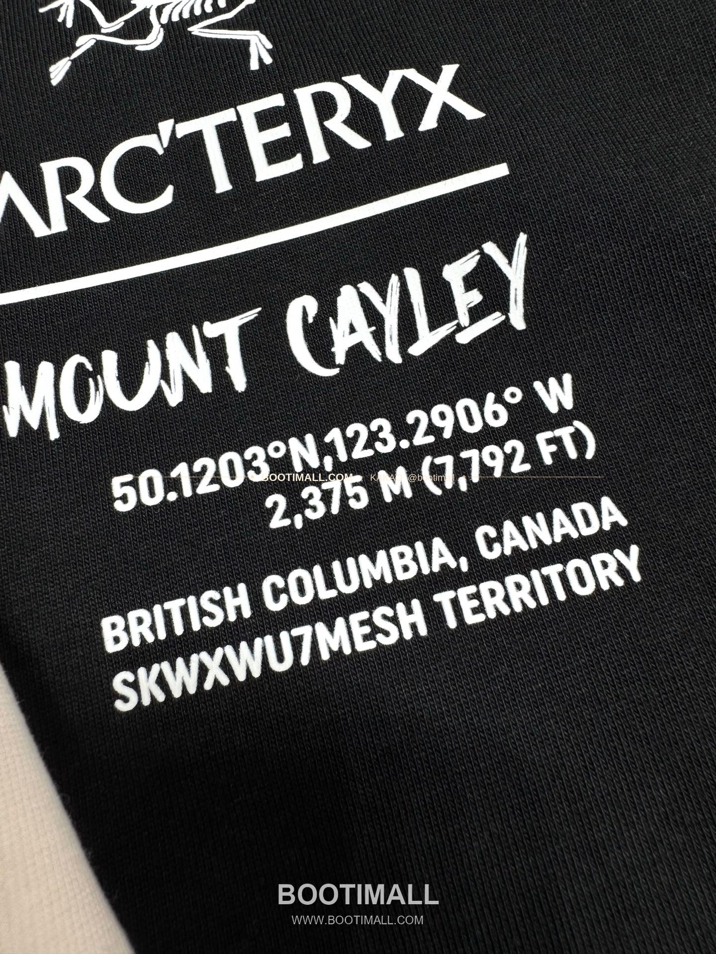 아크테릭스 헤비코튼 그래픽 로고 루즈핏 반팔 티셔츠 Arc'teryx Heavy Cotton Graphic Logo Loose Fit T-Shirt SG26310 5