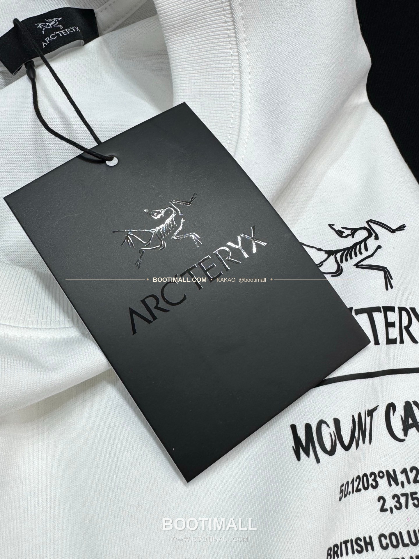 아크테릭스 헤비코튼 그래픽 로고 루즈핏 반팔 티셔츠 Arc'teryx Heavy Cotton Graphic Logo Loose Fit T-Shirt SG26310 6