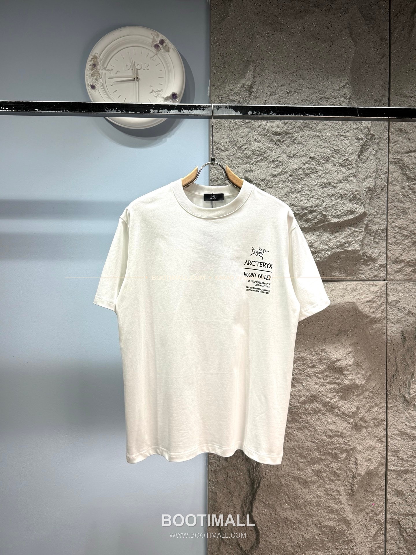 아크테릭스 헤비코튼 그래픽 로고 루즈핏 반팔 티셔츠 Arc'teryx Heavy Cotton Graphic Logo Loose Fit T-Shirt SG26310 10