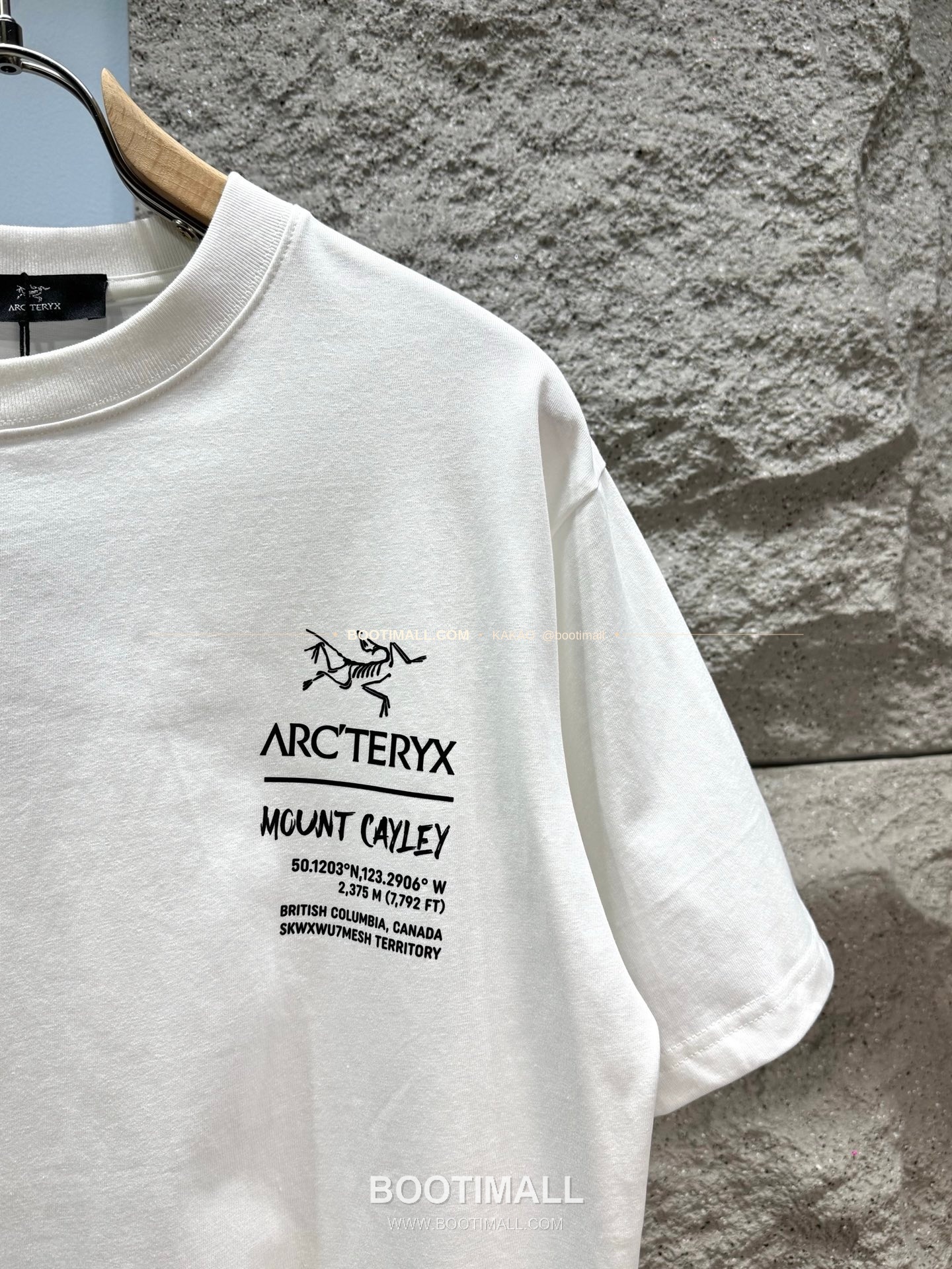 아크테릭스 헤비코튼 그래픽 로고 루즈핏 반팔 티셔츠 Arc'teryx Heavy Cotton Graphic Logo Loose Fit T-Shirt SG26310 12