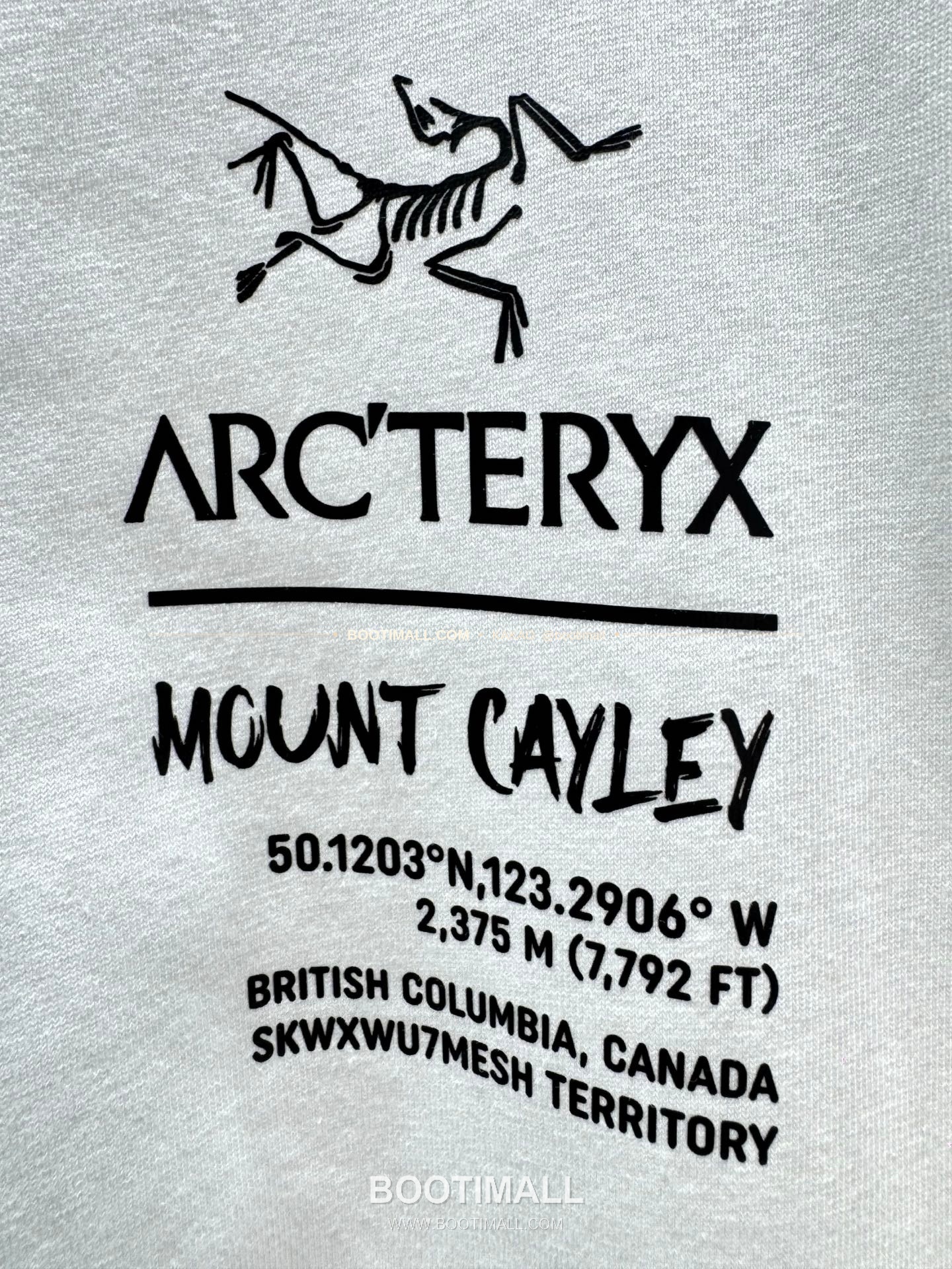 아크테릭스 헤비코튼 그래픽 로고 루즈핏 반팔 티셔츠 Arc'teryx Heavy Cotton Graphic Logo Loose Fit T-Shirt SG26310 13